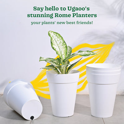 Roma Plastic Planter