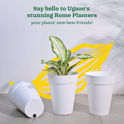 Roma Plastic Planter
