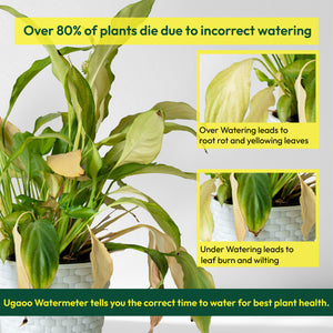 Sustee Watermeter (Set of 2)