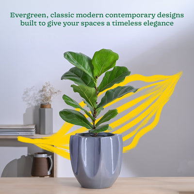 Tranquil Tales Ceramic Planter