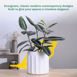 Blushing Sun Ceramic Planter