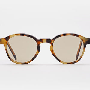The Warhol Tortoise