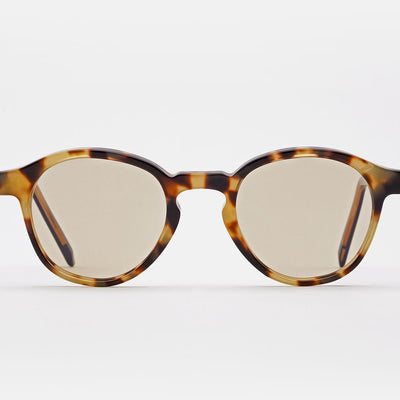 The Warhol Tortoise