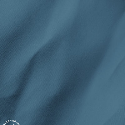 Blue I Formal Shirt I Regular Fit I 100% Cotton Shirt