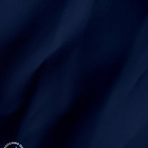 Navy Blue I Formal Shirt I Regular Fit I 100% Cotton Shirt