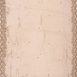 Taupe Woven Banarasi Glass Tissue Saree Embroidered With Floral Motifs