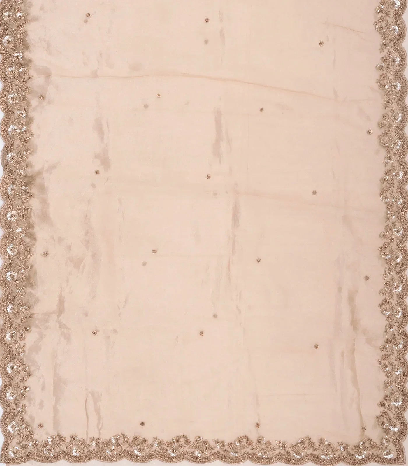 Taupe Woven Banarasi Glass Tissue Saree Embroidered With Floral Motifs