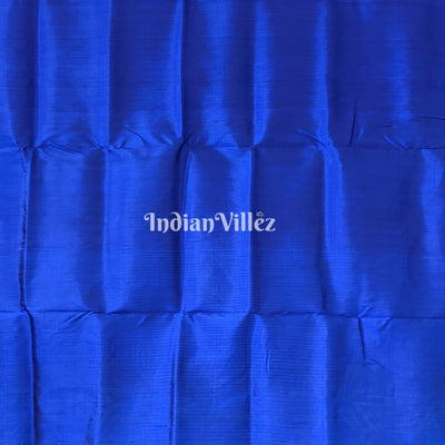 Turquoise Blue Odisha Handloom Contemporary Silk Saree