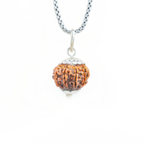 Silver Capping 11 Mukhi Rudraksha Pendant With Chain ( Nepali )