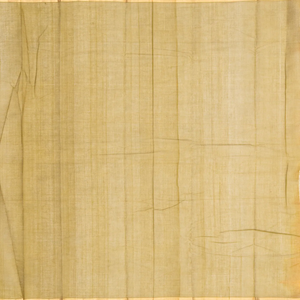 Orange Handloom Village Cotton Saree With Plus Buttas