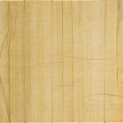 Orange Handloom Village Cotton Saree With Plus Buttas