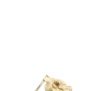 Zimmermann Orchid Slides
