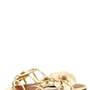 Zimmermann Orchid Slides