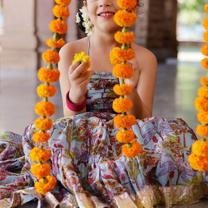 Avisa Chanderi Lehenga Set