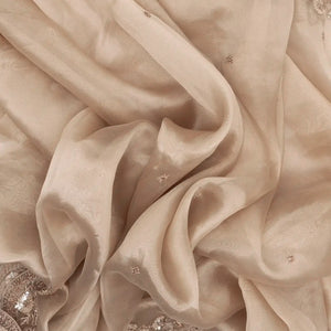 Taupe Woven Banarasi Glass Tissue Saree Embroidered With Floral Motifs