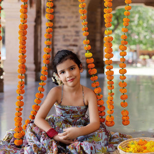 Avisa Chanderi Lehenga Set