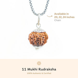 Silver Capping 11 Mukhi Rudraksha Pendant With Chain ( Nepali )