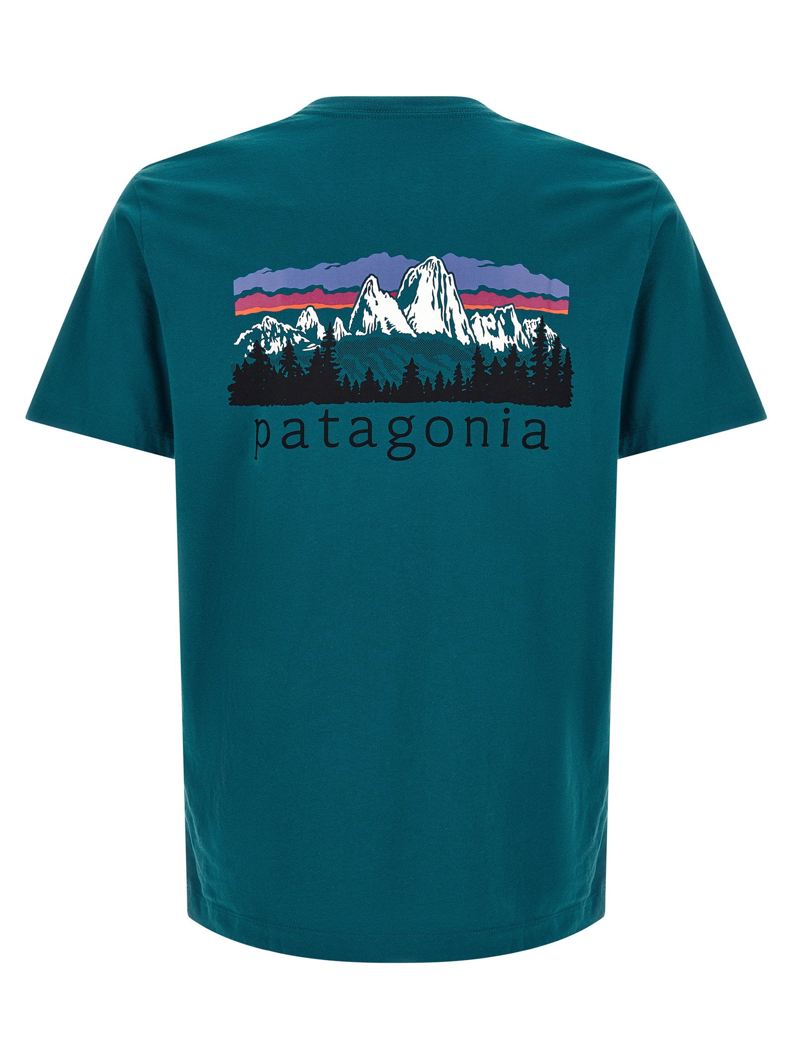 Patagonia Fitz Roy Foothills Print T-shirt