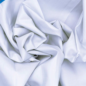 White Handloom Kanchipuram Korvai Silk Saree With Blue Border