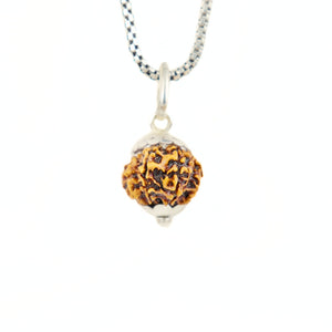 Silver Capping 12 Mukhi Rudraksha Pendant With Chain ( Nepali )