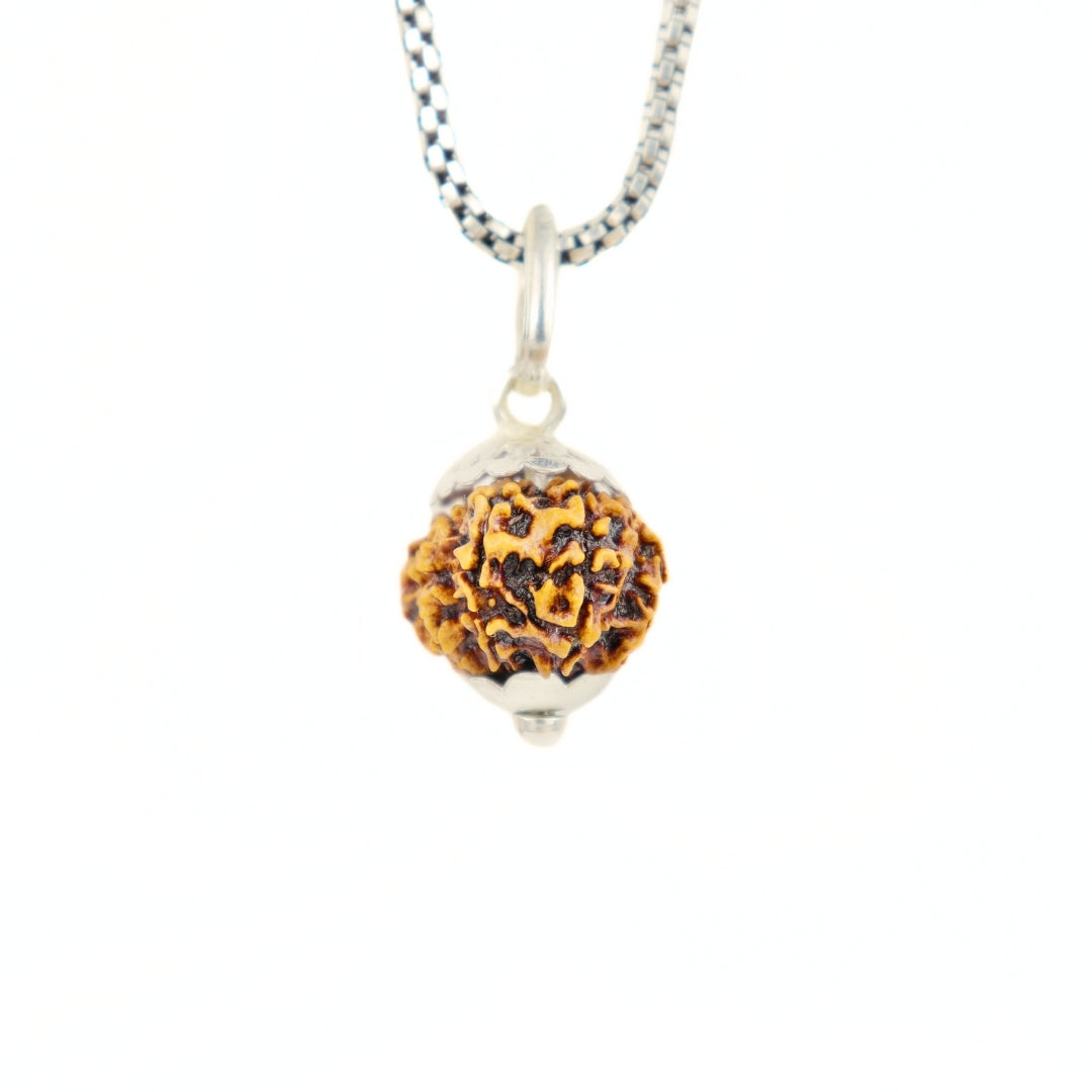Silver Capping 12 Mukhi Rudraksha Pendant With Chain ( Nepali )