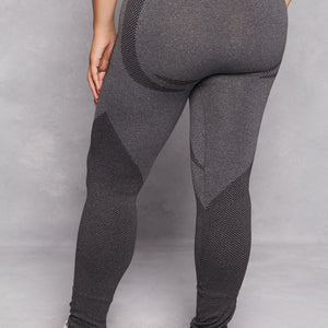 Plus Size Seamless Color Block Active Leggings