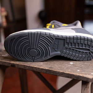Nike Dunk Low Pro B Lightning