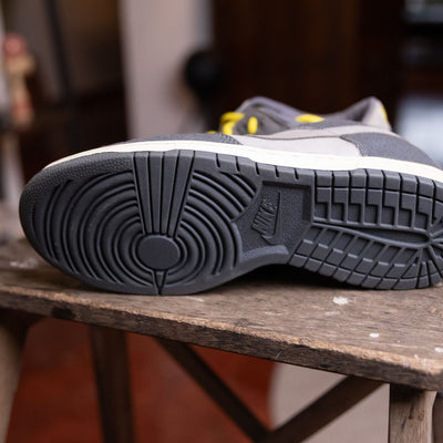 Nike Dunk Low Pro B Lightning
