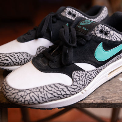 Nike Air Max 1 Atmos x Jordan