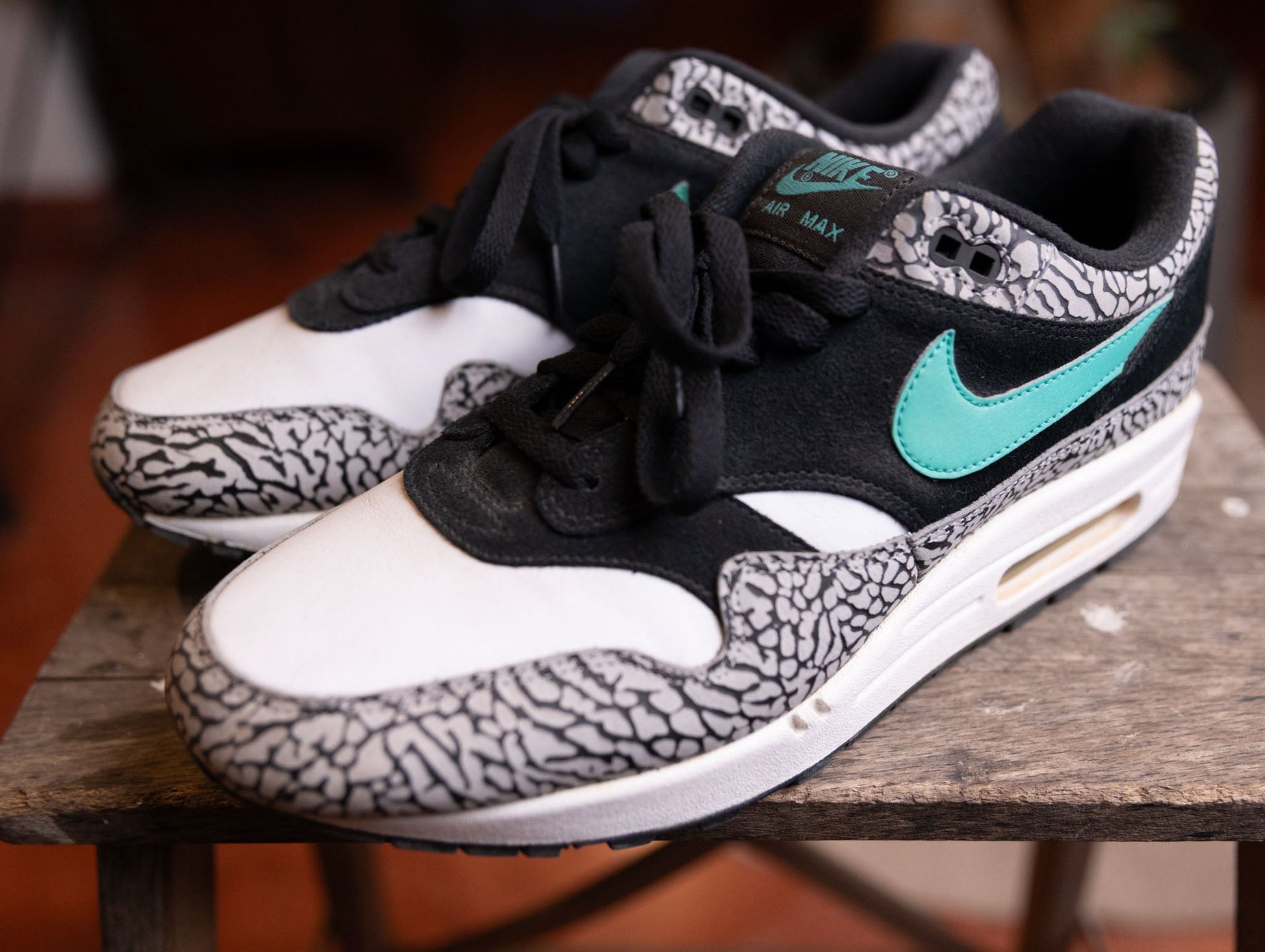 Nike Air Max 1 Atmos x Jordan