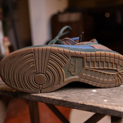 Nike SB Dunk Low Barf