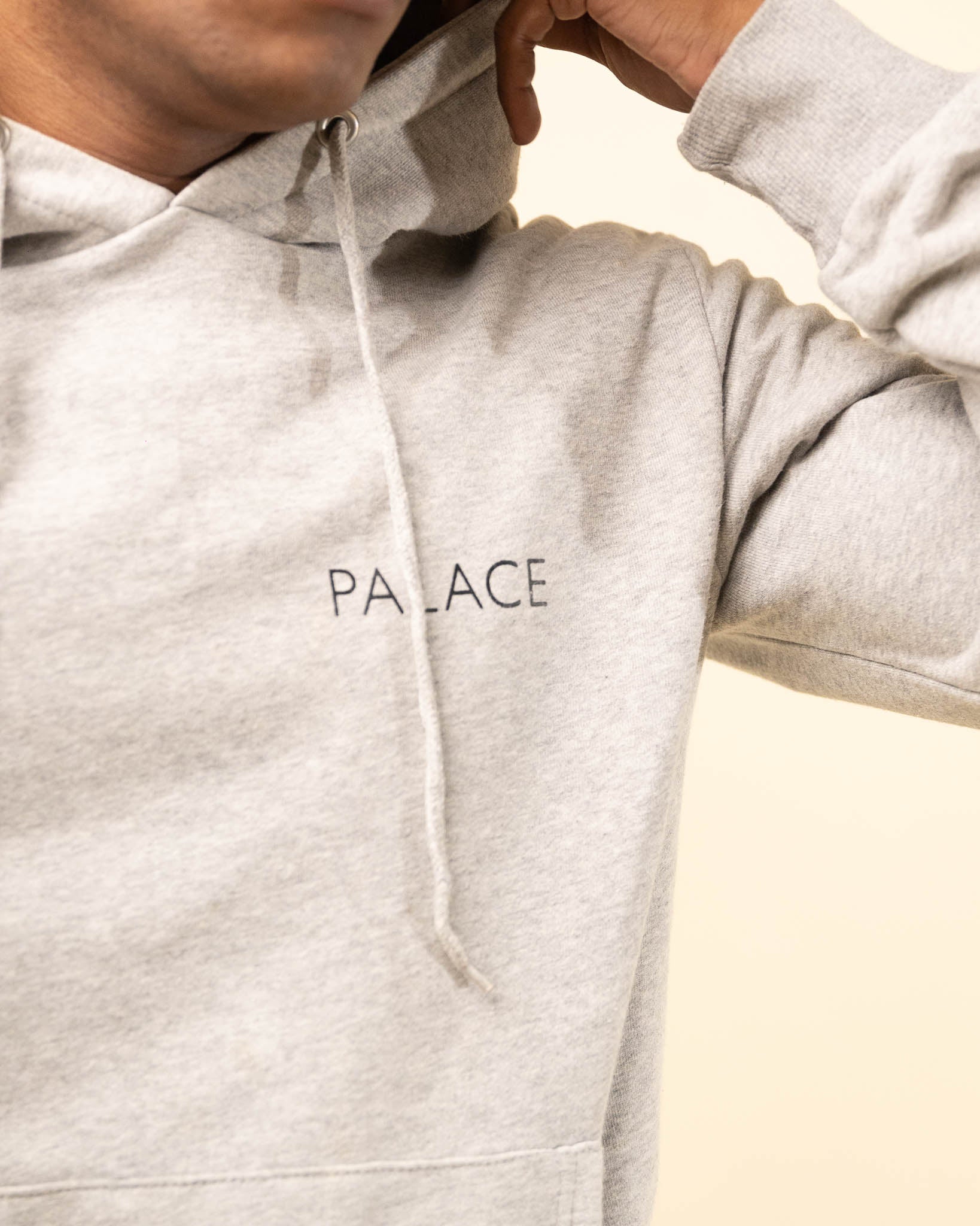 Palace Graphic Chip Hoodie - Grey