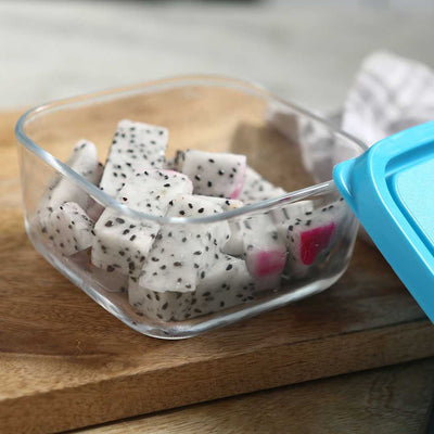 Bormioli Frigoverre 2 Pcs Square Glass Container.