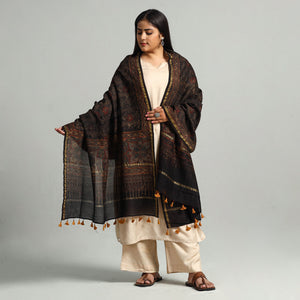 Brown - Block Printed Chanderi Silk Handloom Ajrakh Dupatta 08