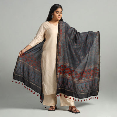 Blue - Block Print Chanderi Silk Handloom Ajrakh Dupatta 23