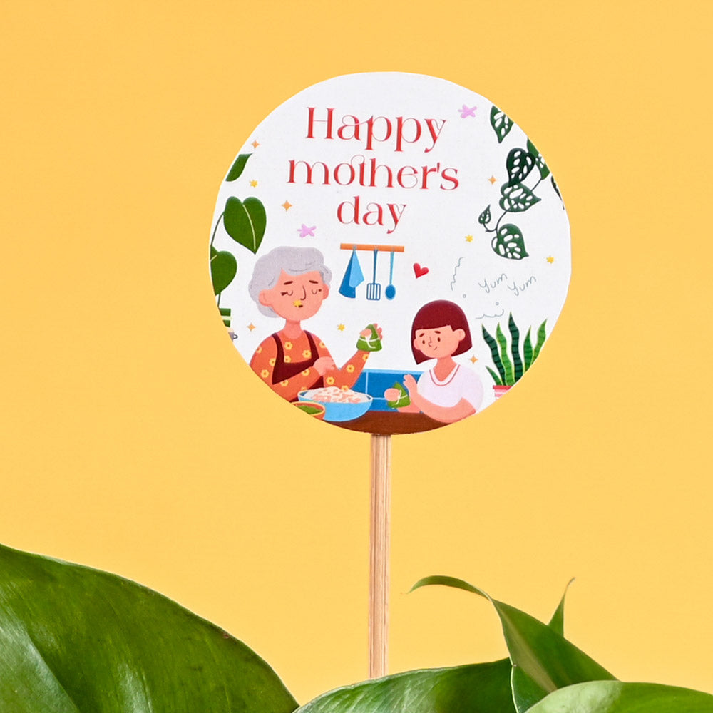 Philodendron Oxycardium Green Plant For Mother's Day Gifting