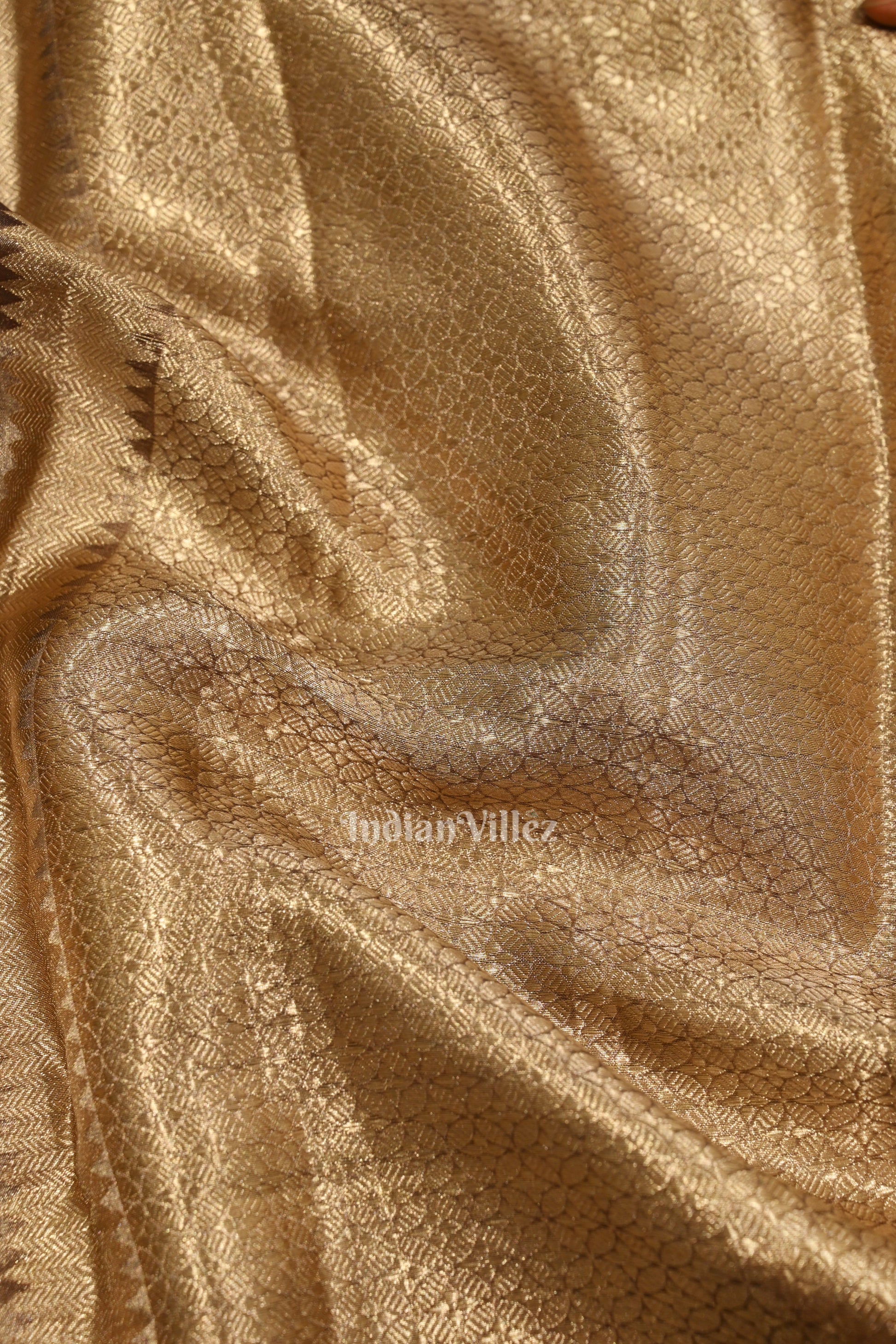 Zari Woven Banarasi Tissue Saree