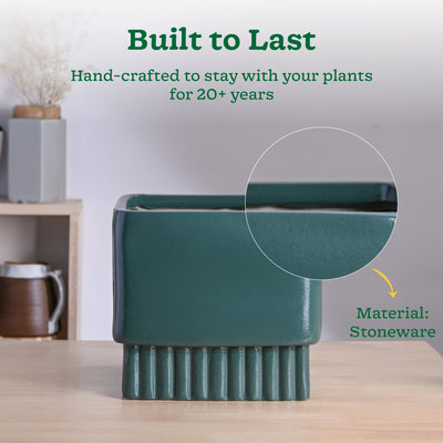 Immortal Nights Ceramic Planter