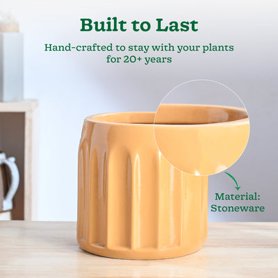 Blushing Sun Ceramic Planter