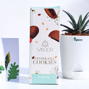 Haworthia Fasciata Thank you Gift Hamper