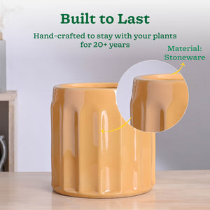 Blushing Sun Ceramic Planter