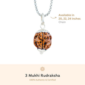 Silver Capping 3 Mukhi Rudraksha Pendant With Chain  ( Nepali )