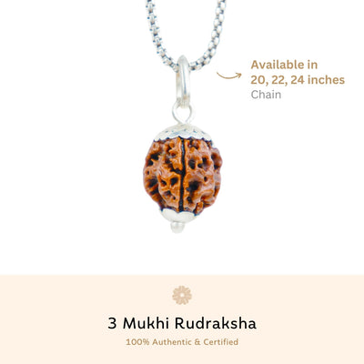 Silver Capping 3 Mukhi Rudraksha Pendant With Chain  ( Nepali )