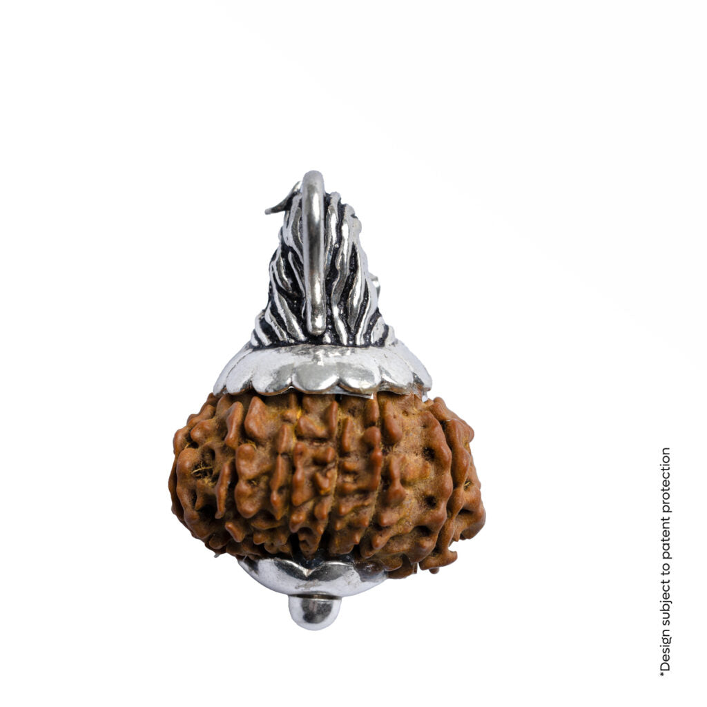 Adiyogi Pendant (12 Mukhi Nepali  Rudraksha) With Chain