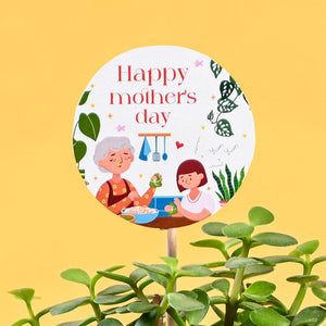 Jade Mini Plant For Mother's Day Gifting
