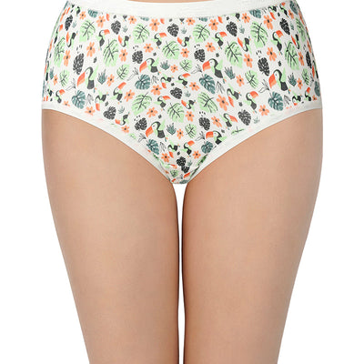 Printed Full Brief Panty (Pack of 3) - C512