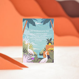 Spider Plant For Environment Day Gifting