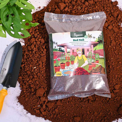 Garden Red Soil