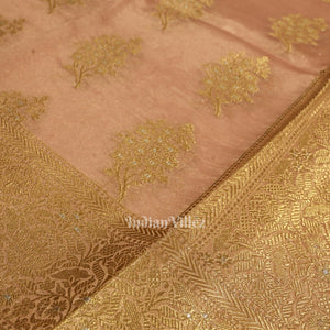 Peach Pink Zari Woven Tissue Banarasi Saree