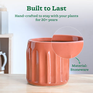 Blushing Sun Ceramic Planter